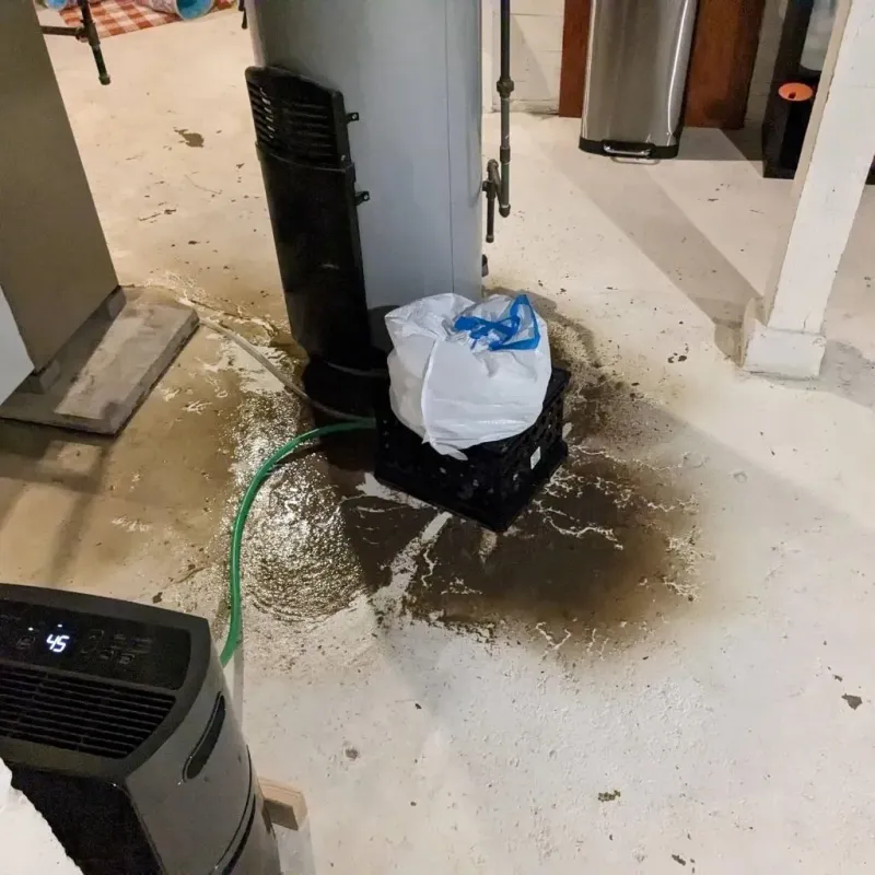 Sewage Backup Cleanup Service in Middle River, MD